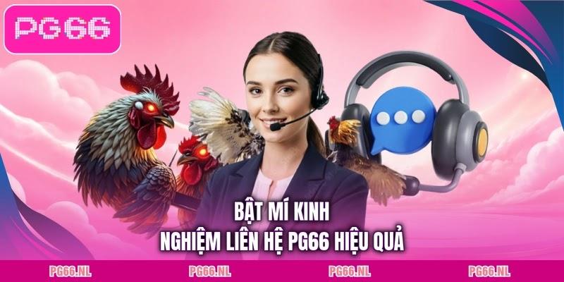 Bật mí kinh nghiệm liên hệ PG66 hiệu quả