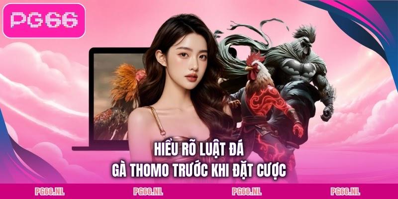 Hiểu rõ luật đá gà Thomo trước khi đặt cược
