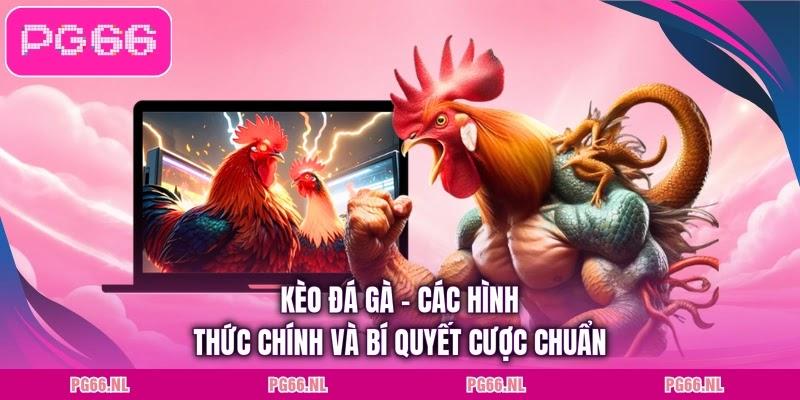 Kèo Đá Gà - Các Hình Thức Chính Và Bí Quyết Cược Chuẩn
